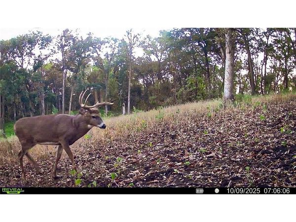 W27022 Whistle Pass Road, Dodge, WI 54661