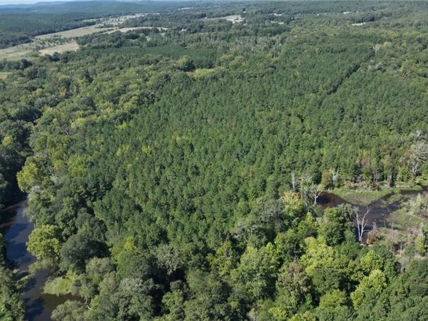 AR Hwy 314, Plainview, AR 72857