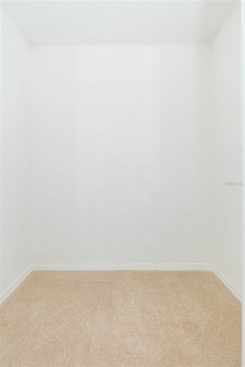 6545 Brentwood Drive, Zephyrhills, FL 33542 Photo