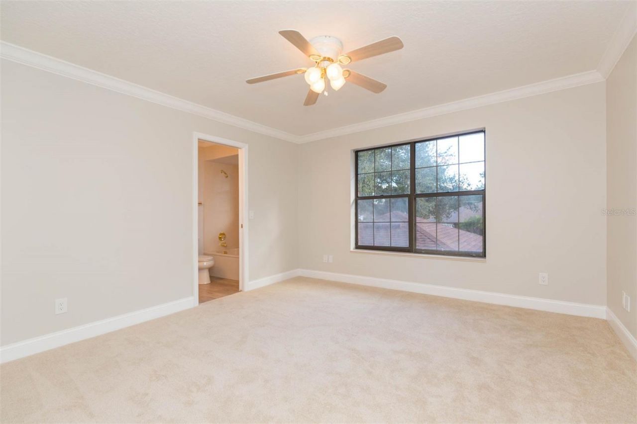 6545 Brentwood Drive, Zephyrhills, FL 33542 Photo