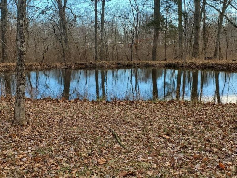 1202 Yankeetown Road, Clark Twp, OH 45130 Photo 2