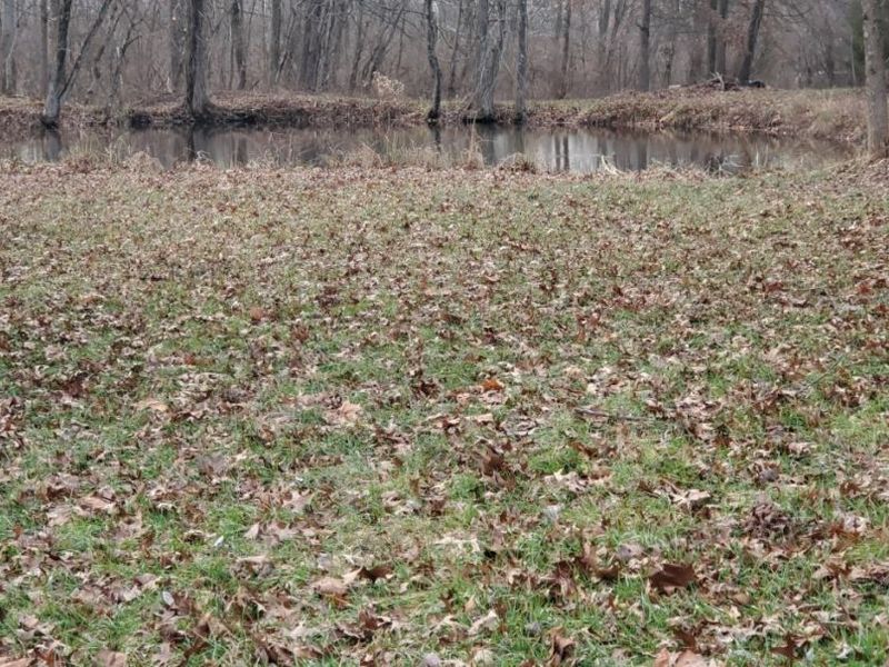 1202 Yankeetown Road, Clark Twp, OH 45130 Photo 21