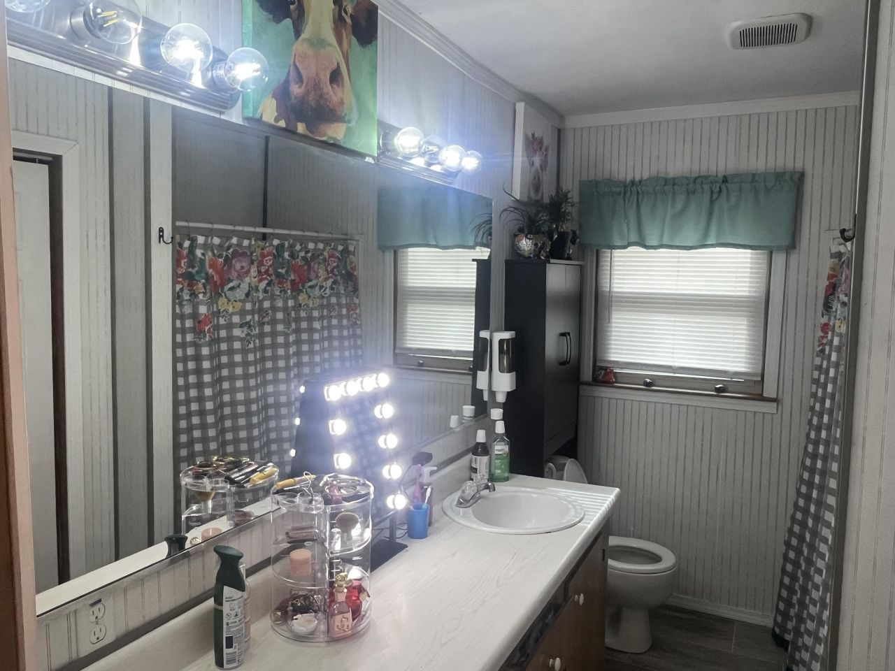 183 Dandridge Road Photo 22