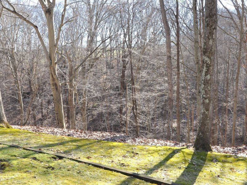 2620 Burnett Road, Cutler, OH 45724 Photo 44