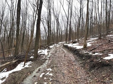 Route 16, Hinsdale, NY 14743