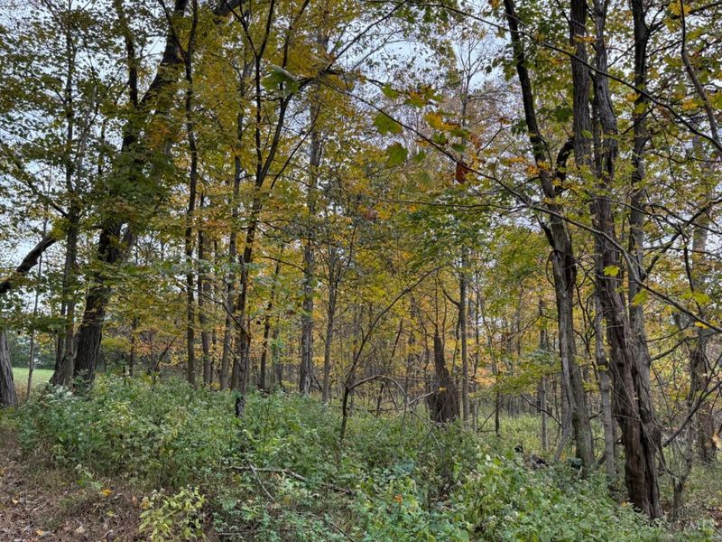 4051 E St Rt 41, Manchester, OH 45144 Photo 14