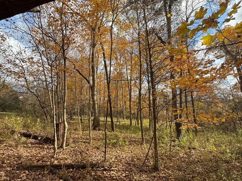 4051 E St Rt 41, Manchester, OH 45144 Photo 16