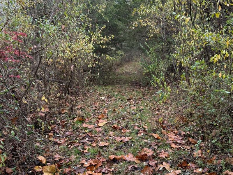 4051 E St Rt 41, Manchester, OH 45144 Photo 18