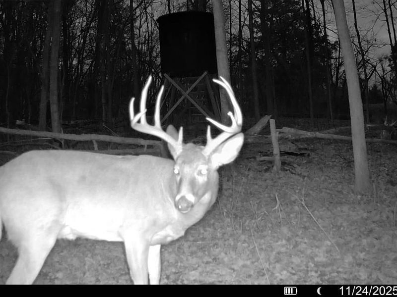 4051 E St Rt 41, Manchester, OH 45144 Photo 27