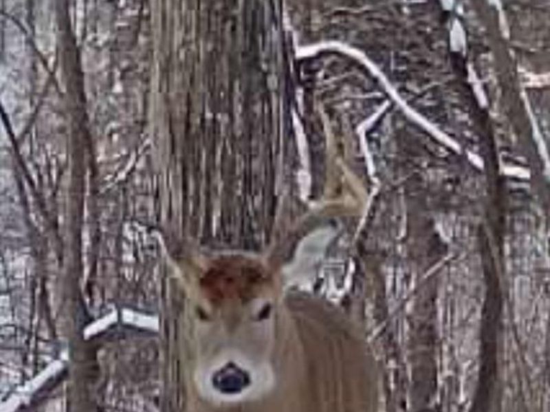 4051 E St Rt 41, Manchester, OH 45144 Photo 28