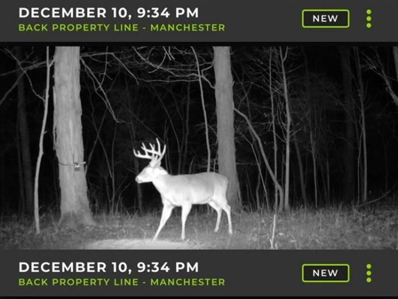 4051 E St Rt 41, Manchester, OH 45144 Photo 29