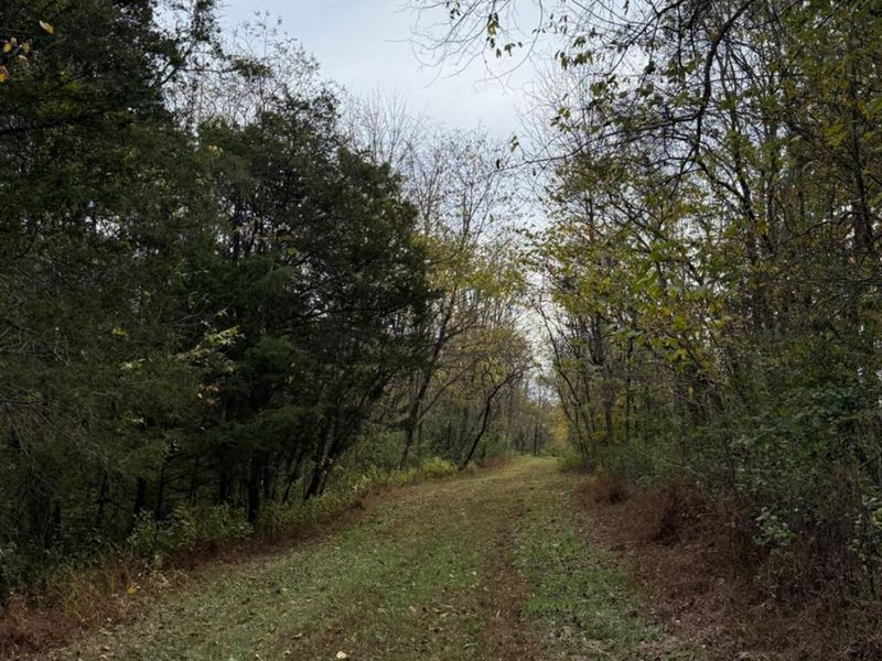 4051 E St Rt 41, Manchester, OH 45144 Photo 3