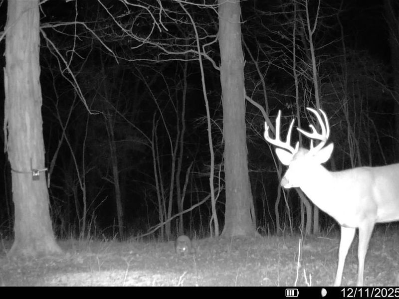 4051 E St Rt 41, Manchester, OH 45144 Photo 30