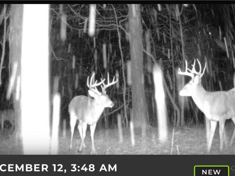 4051 E St Rt 41, Manchester, OH 45144 Photo 31