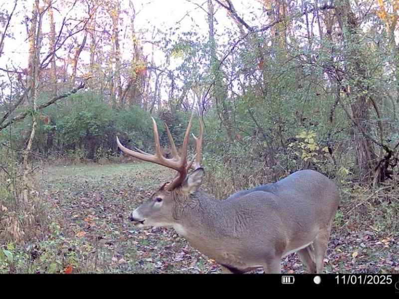 4051 E St Rt 41, Manchester, OH 45144 Photo 32