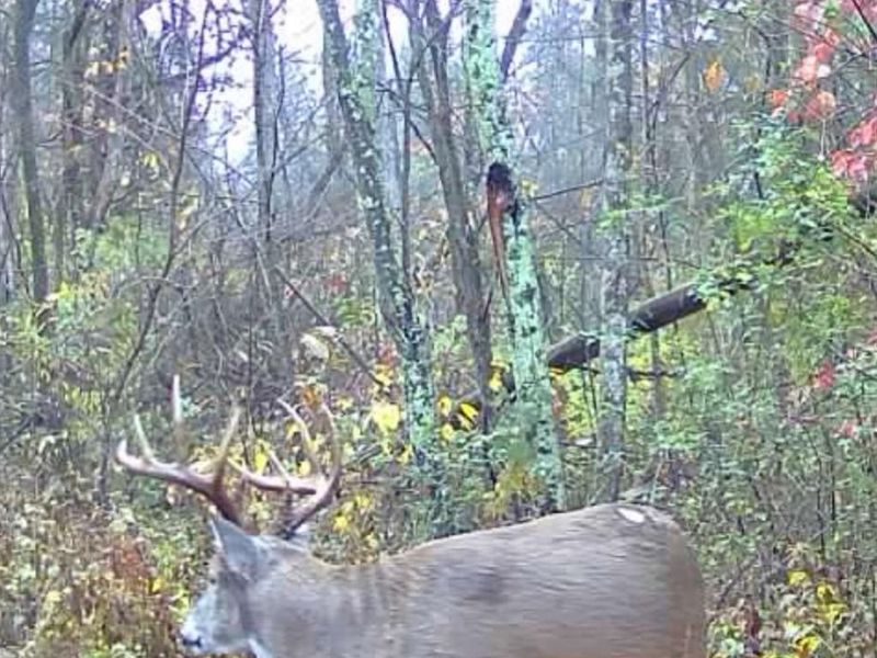 4051 E St Rt 41, Manchester, OH 45144 Photo 33