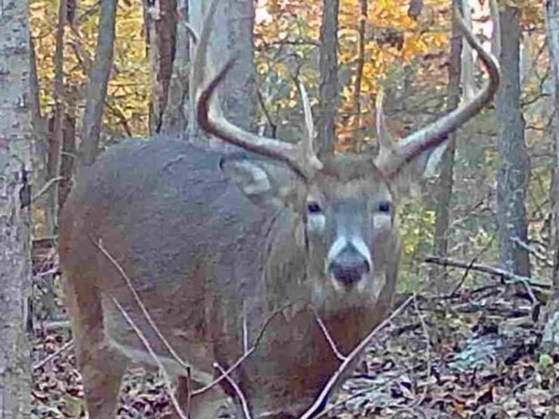 4051 E St Rt 41, Manchester, OH 45144 Photo 34