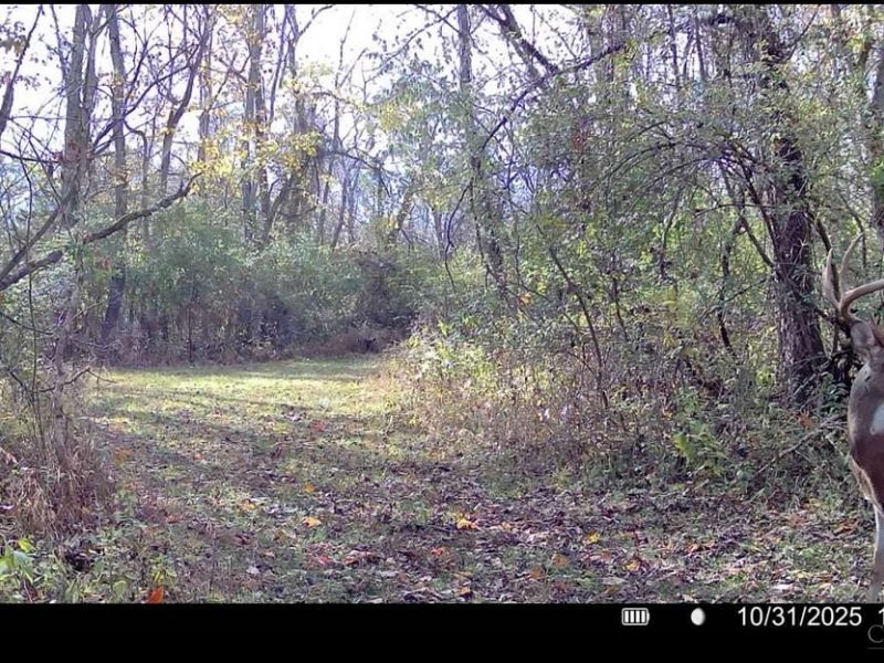 4051 E St Rt 41, Manchester, OH 45144 Photo 37