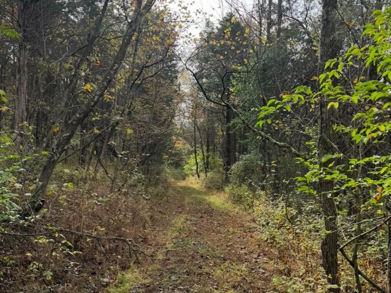 4051 E St Rt 41, Manchester, OH 45144 Photo 5