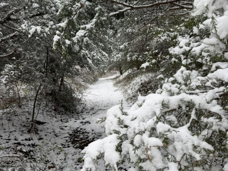 4051 E St Rt 41, Manchester, OH 45144 Photo 6