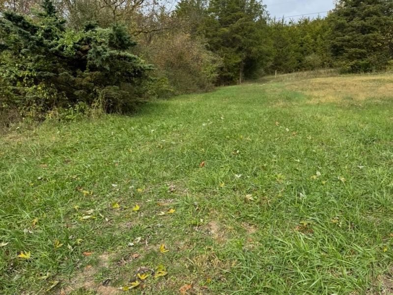 4051 E St Rt 41, Manchester, OH 45144 Photo 8