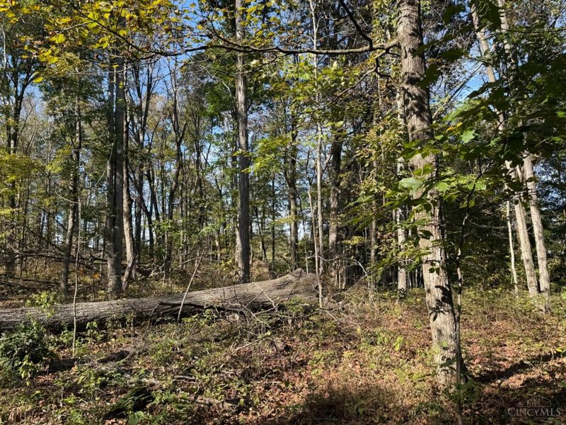 4051 E St Rt 41, Manchester, OH 45144 Photo 9