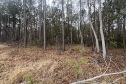 000 Hunters Ridge Lane photo 4