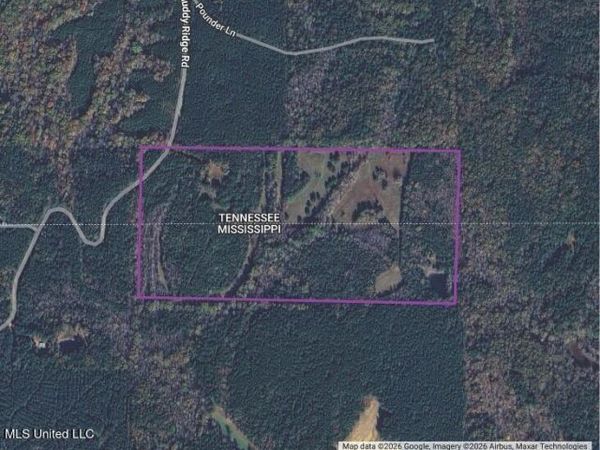 4665 Muddy Ridge Road, Pocahontas, TN 38061