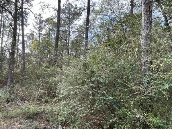 000 MONITOR Drive, Slidell, LA 70460