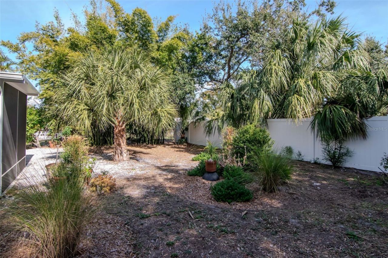 6208 S Jones Road, Tampa, FL 33611 Photo