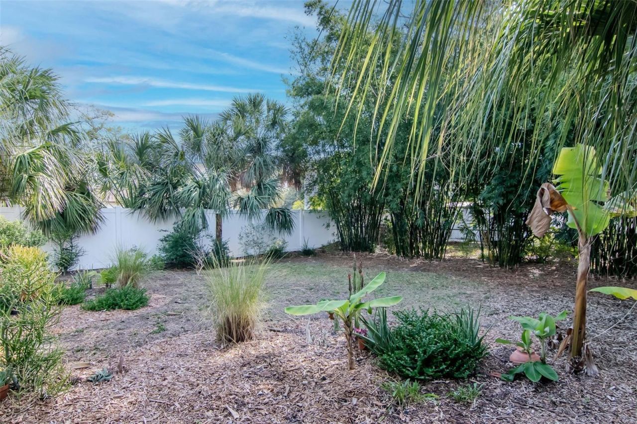 6208 S Jones Road, Tampa, FL 33611 Photo