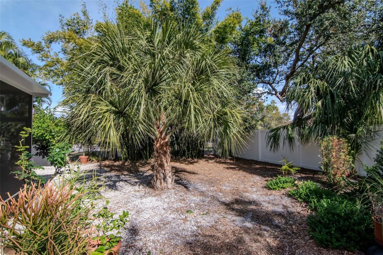 6208 S Jones Road, Tampa, FL 33611 Photo