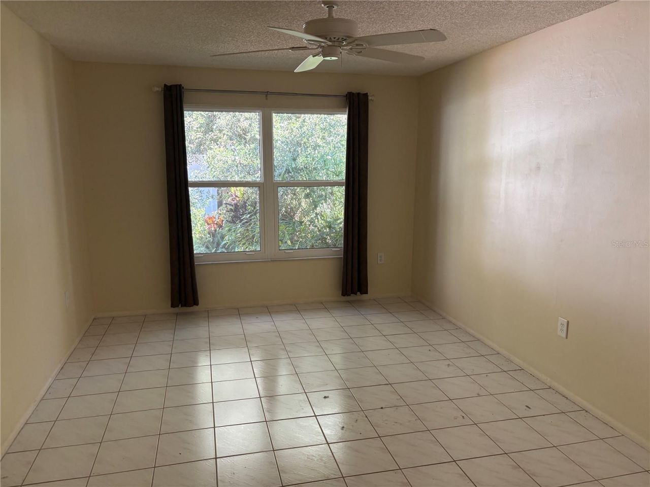 317 Plymouth Street, Safety Harbor, FL 34695 Photo