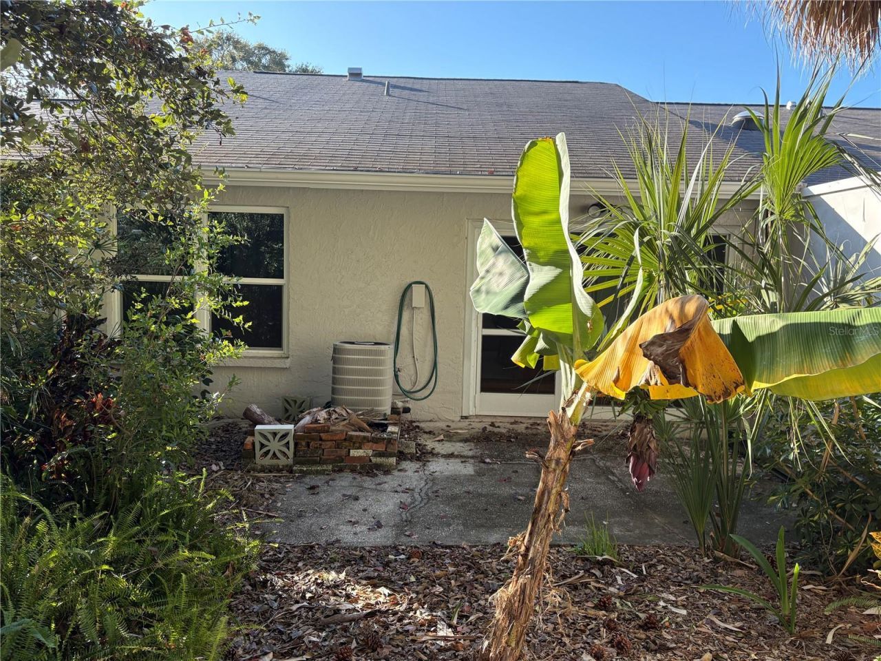 317 Plymouth Street, Safety Harbor, FL 34695 Photo