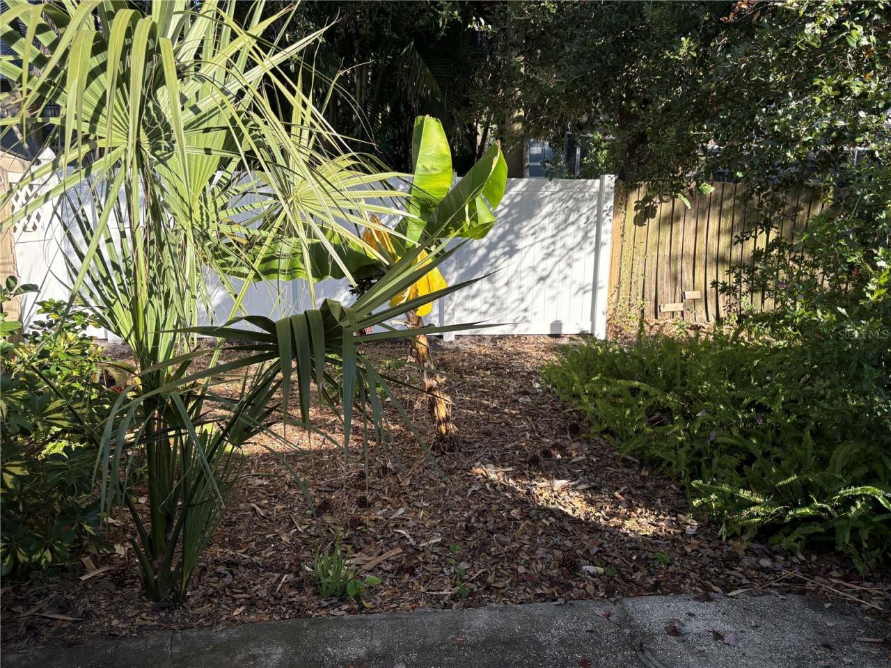 317 Plymouth Street, Safety Harbor, FL 34695 Photo