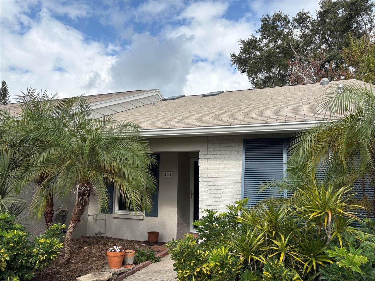 317 Plymouth Street, Safety Harbor, FL 34695 Photo