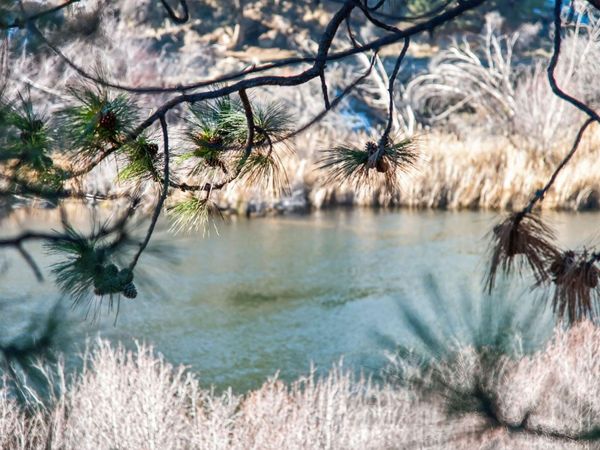 2201 NW Lakeside Place, Bend, OR 97703