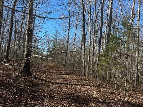 250 Haven Lane, Crawford, TN 38554