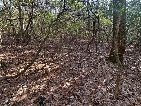 350 Haven Lane, Crawford, TN 38554