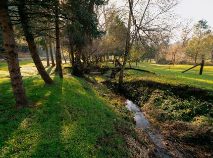 1325 Boole Rd, Applegate, CA 95703 Photo