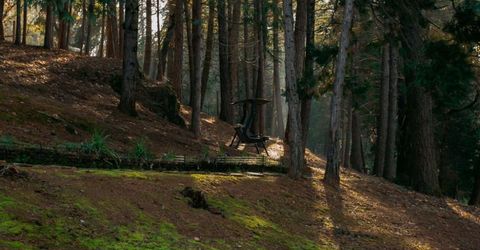 1325 Boole Rd, Applegate, CA 95703 Photo