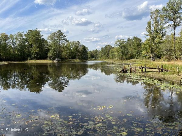 Scr 135, Polkville, MS 39117