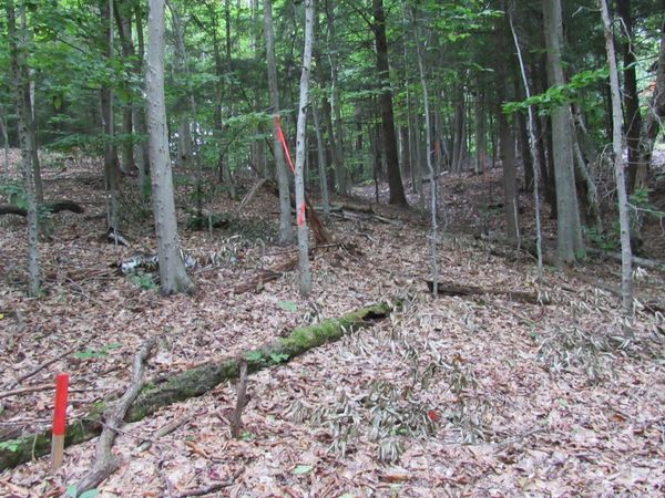 L16 Barker Road, Edinburg, NY 12134