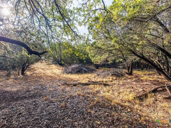 21402 Broken Bow Cove , Lago Vista, TX 78645