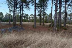 Tbd Belland Ct.  photo 4