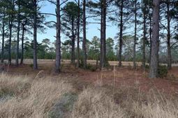 Tbd Belland Ct.  photo 4