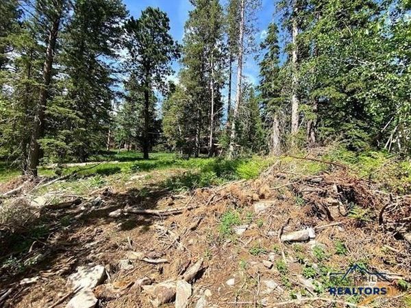 Lot 25 OTHER, Lead, SD 57754