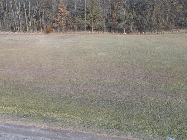 4 Early Bird, Bloomfield, IA 52537