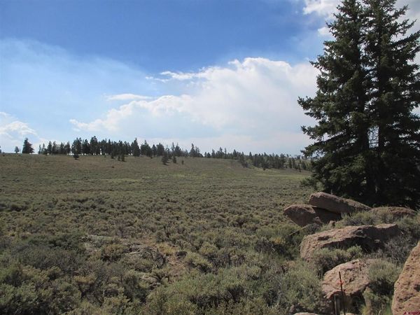 L177-179/U2 Blue Mesa Drive, Powderhorn, CO 81224