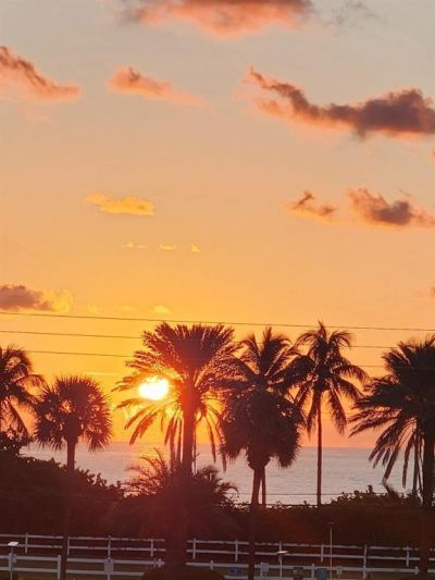 4117 E Bougainvilla Drive, Unit 209, Lauderdale by the Sea, FL 33308 Photo